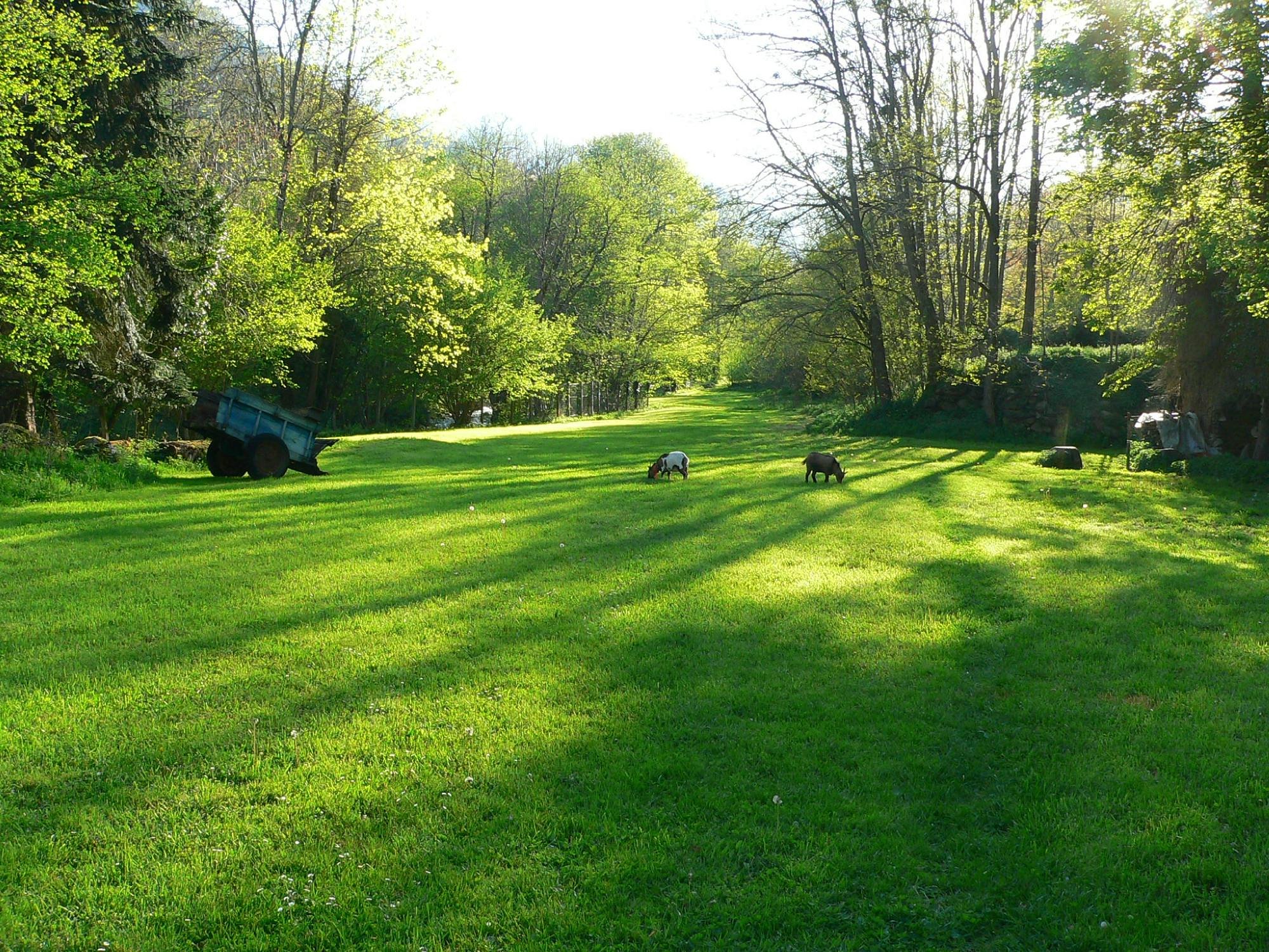 Promenade dans le parc